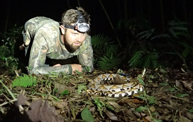 man on the ground looking at snake at night